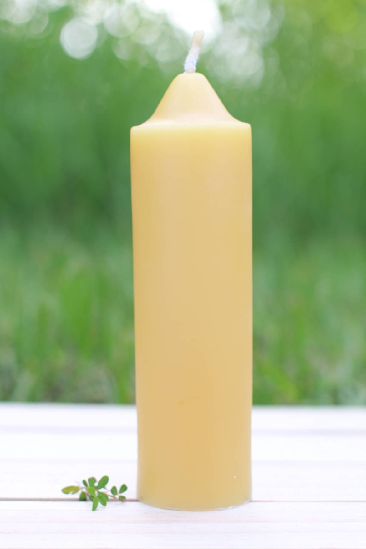 New-Beeswax-6.5_-Candle-e1503952029382.jpg